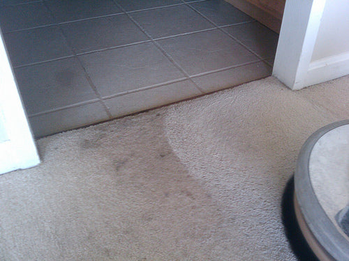 THE REASONS WHY YOU SHOULD CLEAN YOUR CARPETS