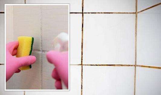 How to Clean Grout and Remove Mould